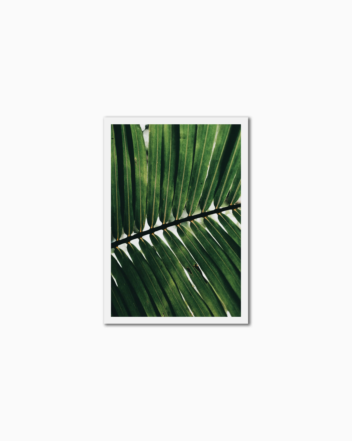 100x70cm , No frame , With mount