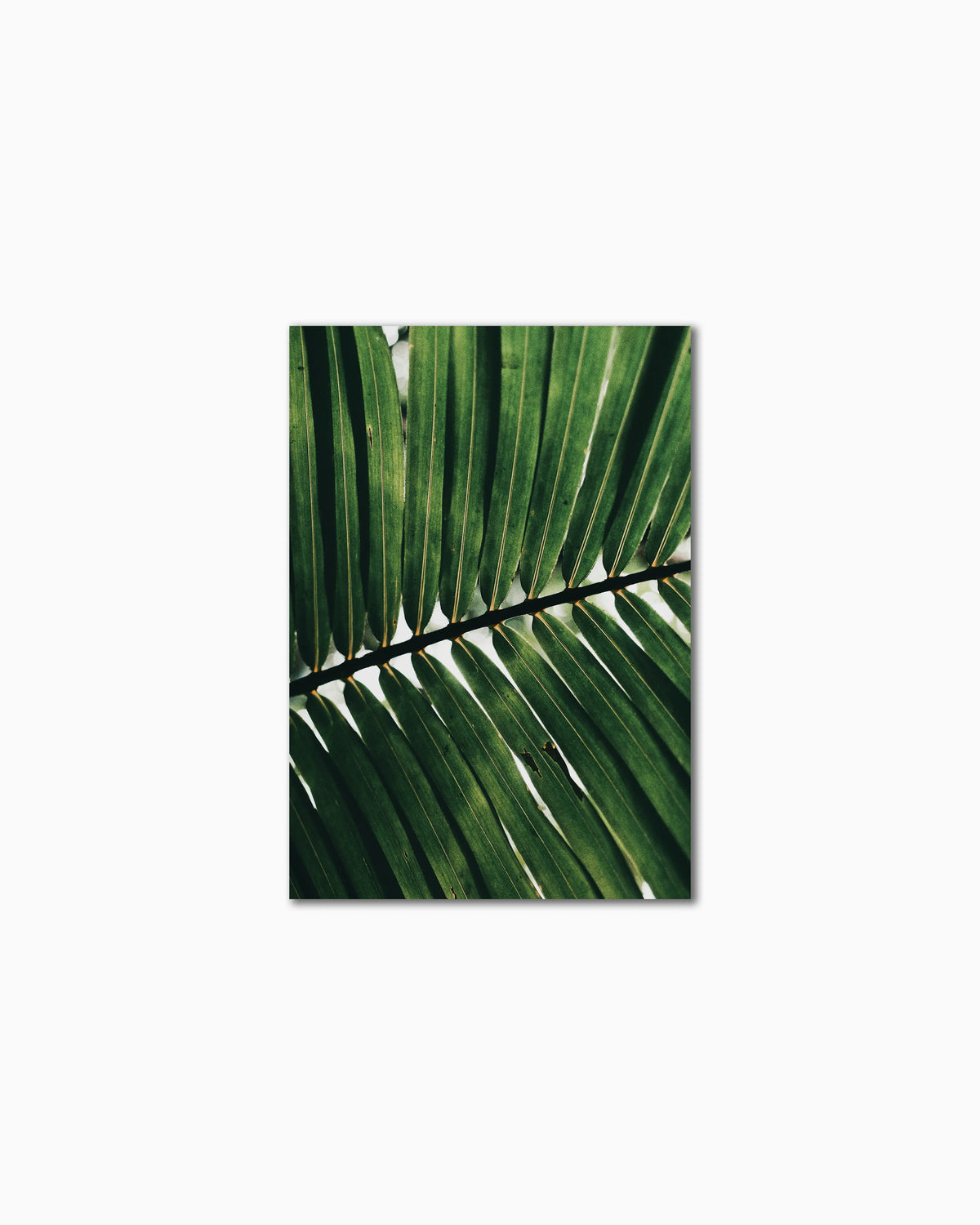 100x70cm, No frame , Full