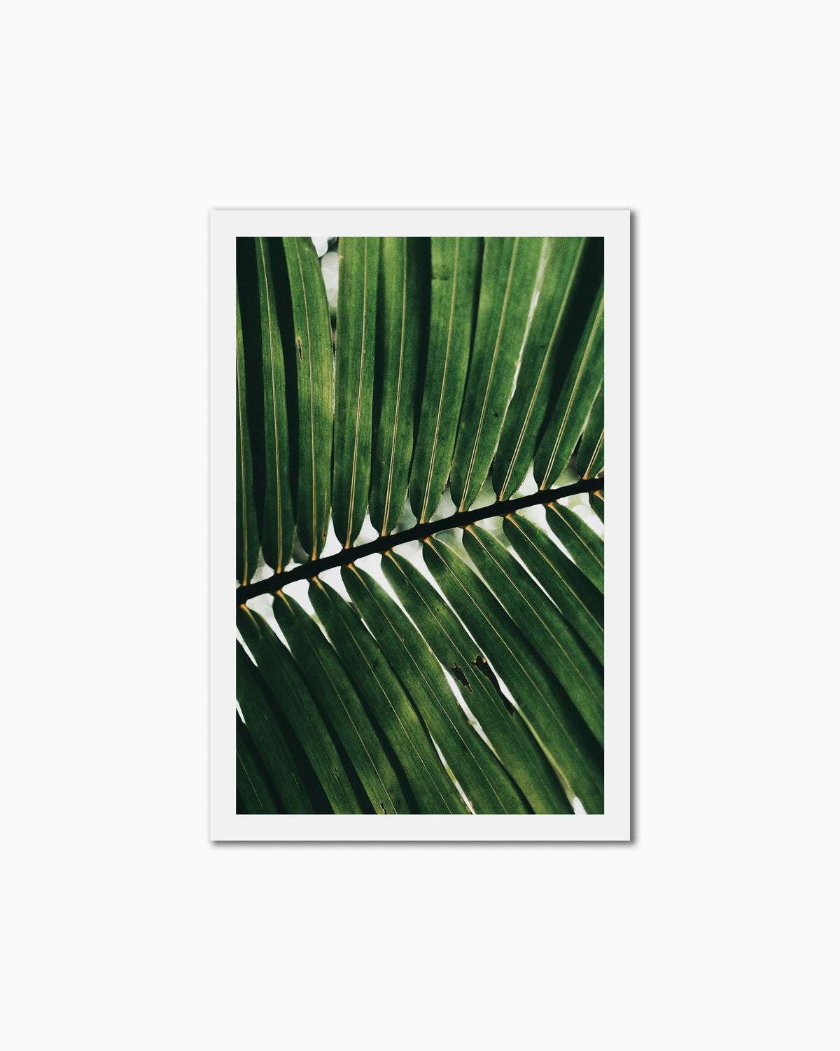 150x100cm , No frame , With mount