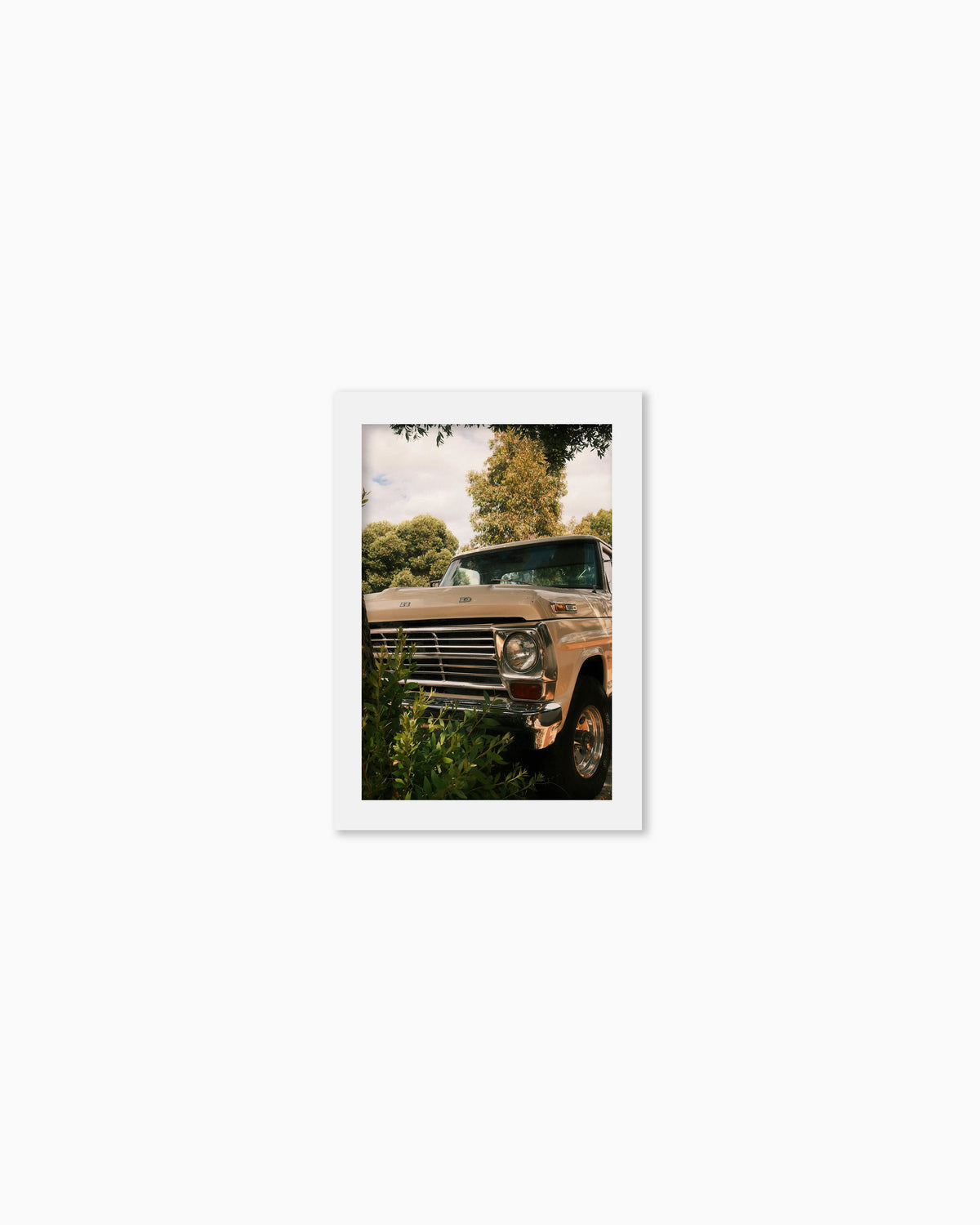 45x30cm , No frame , With mount