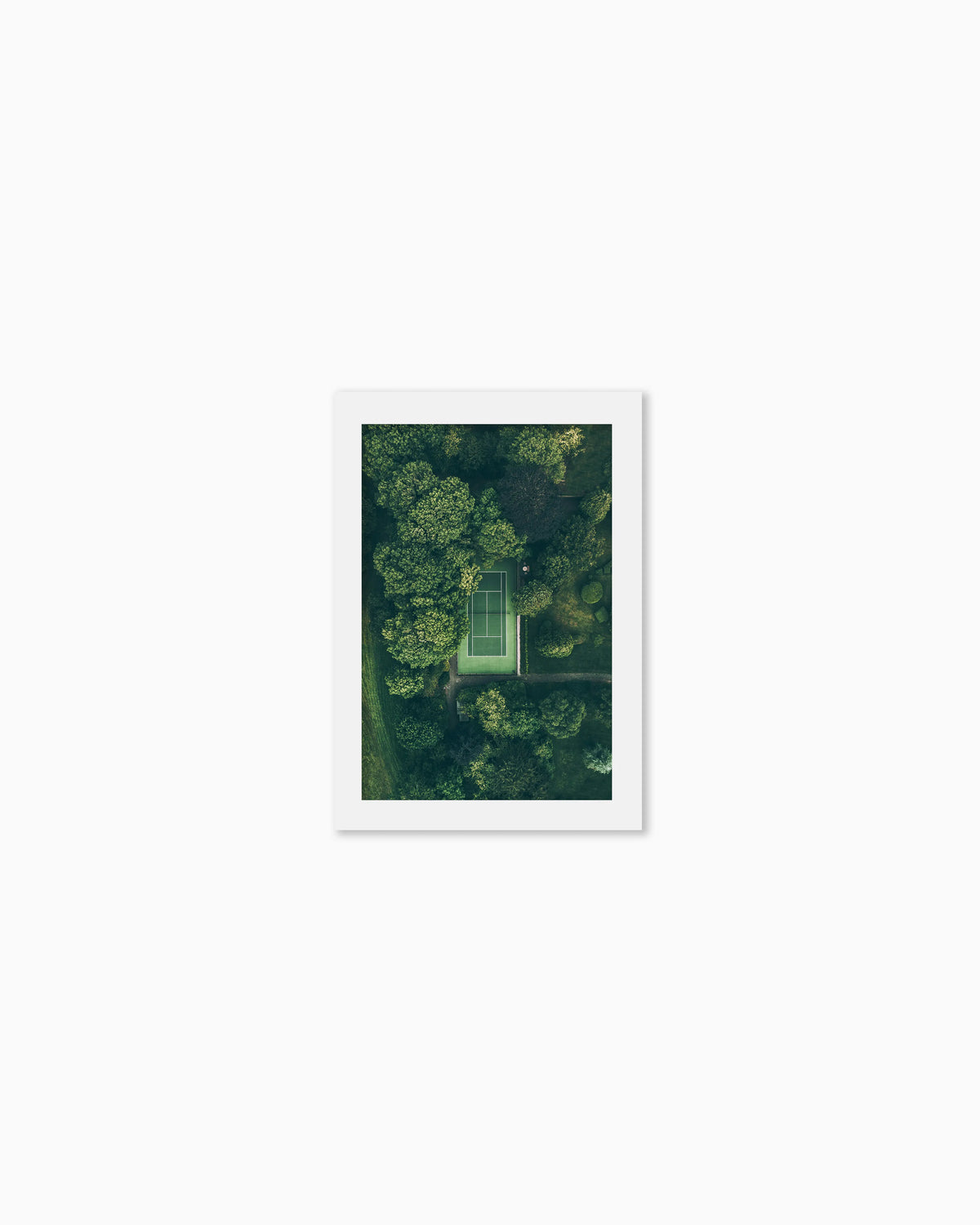 45x30cm , No frame , With mount