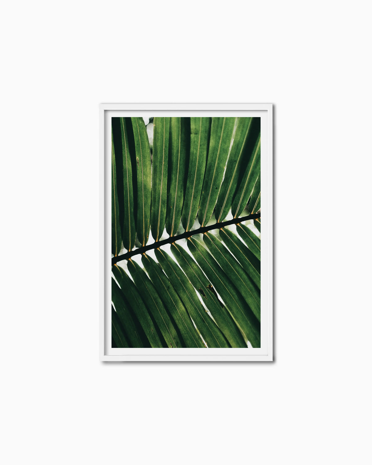 120x80cm , White , With mount