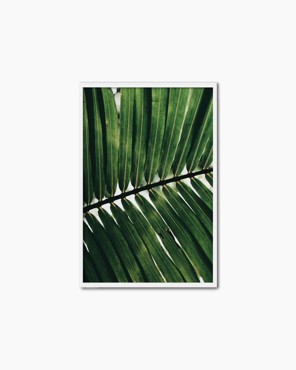 120x80cm , White , Full