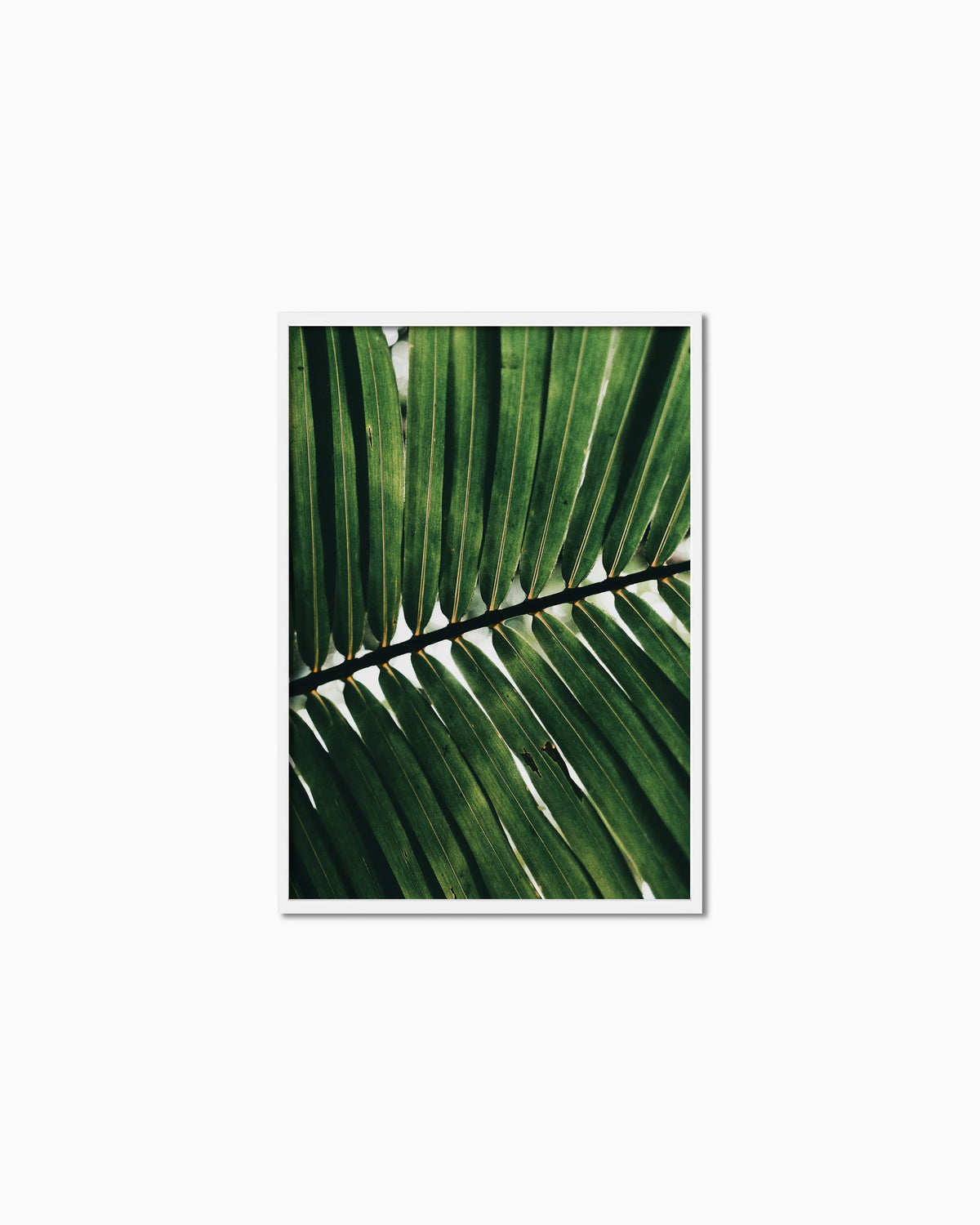 100x70cm, White , Full