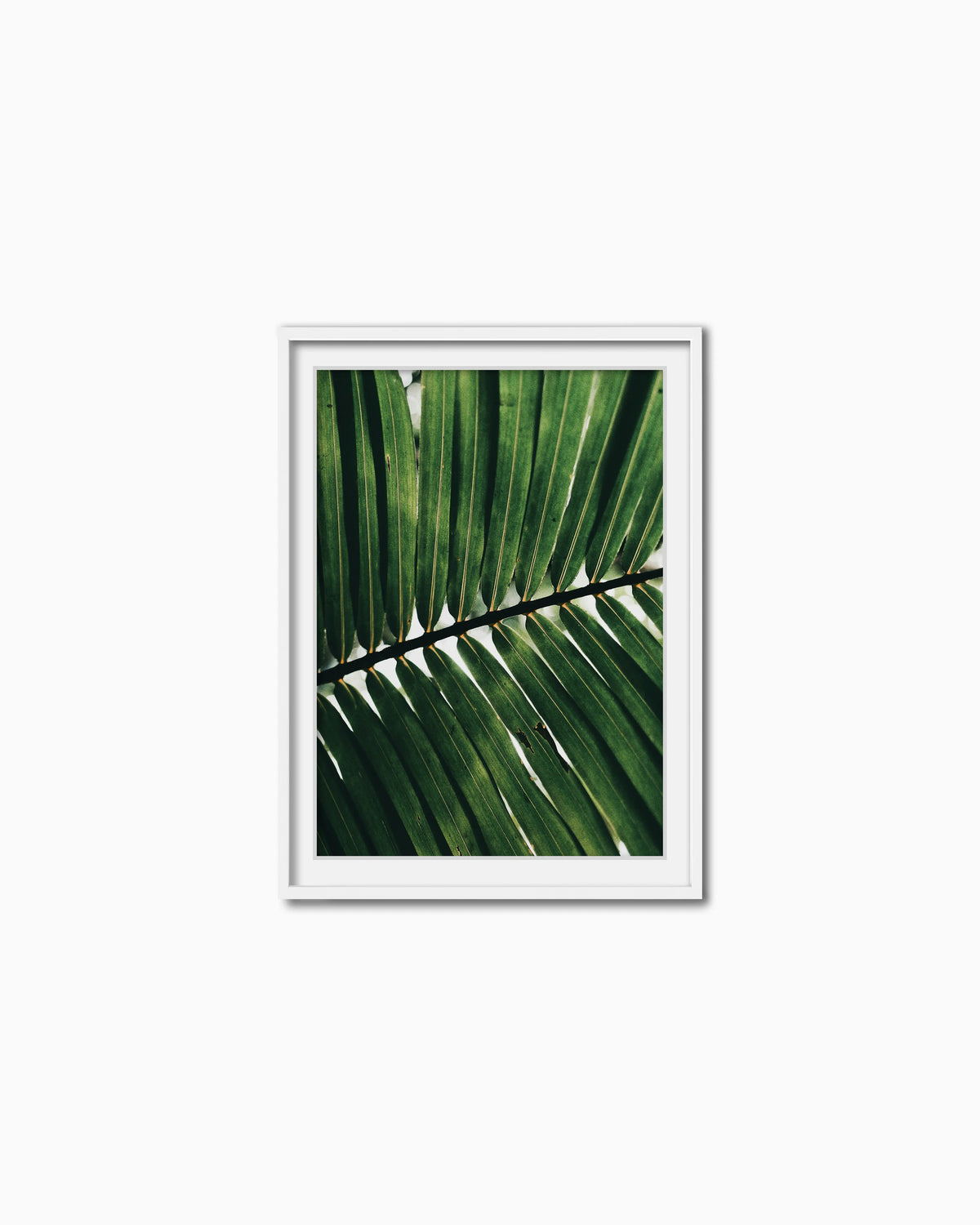 70x50cm , White , With mount