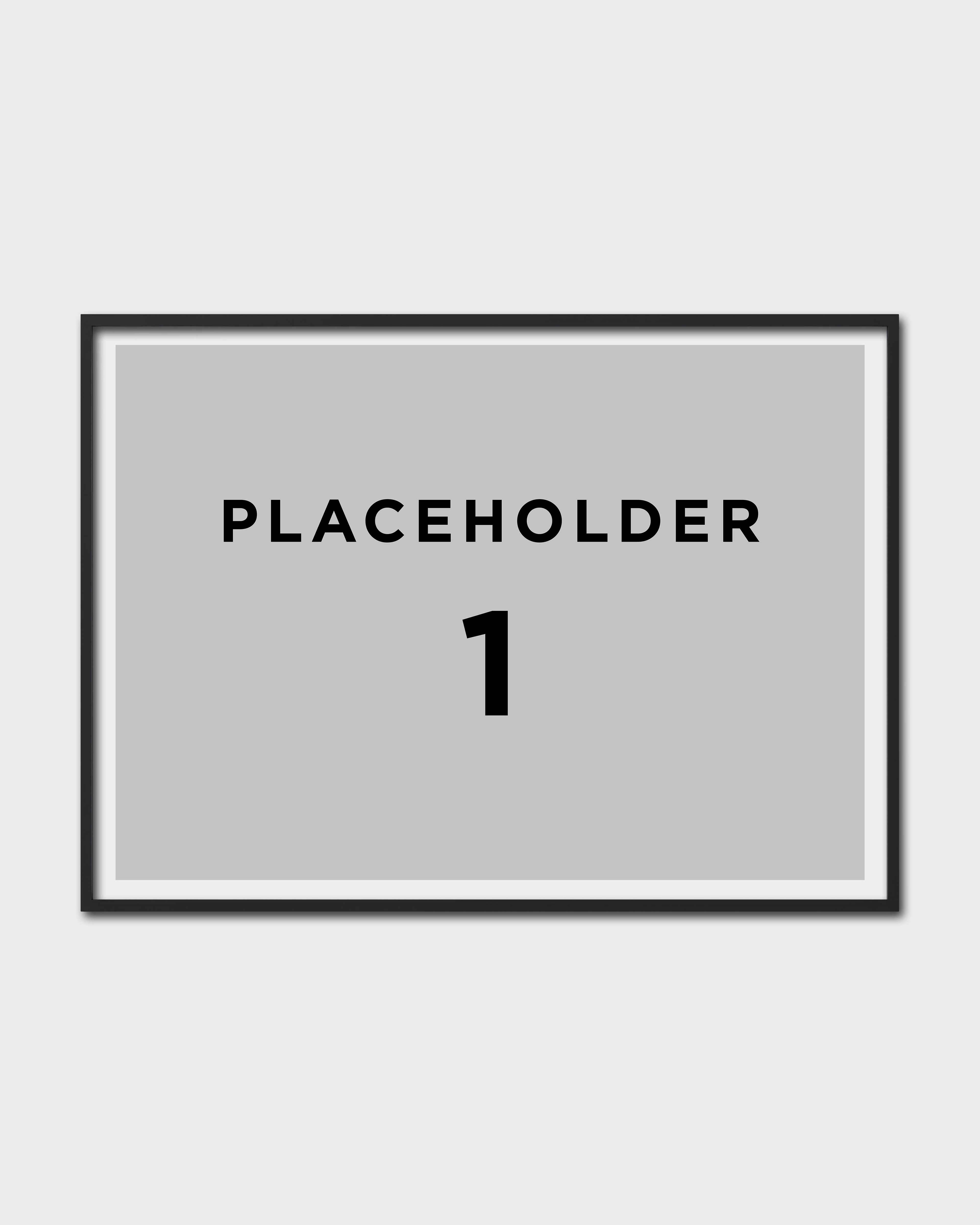 Product placeholder No. 1