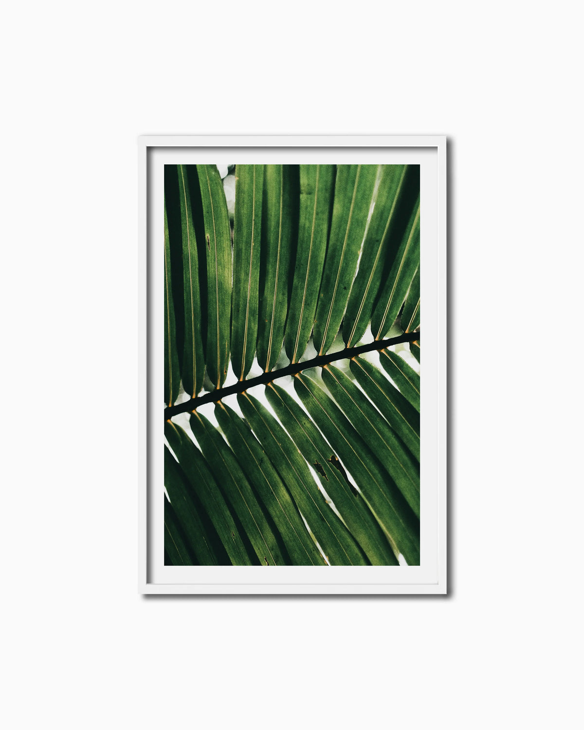 150x100cm , White , With mount