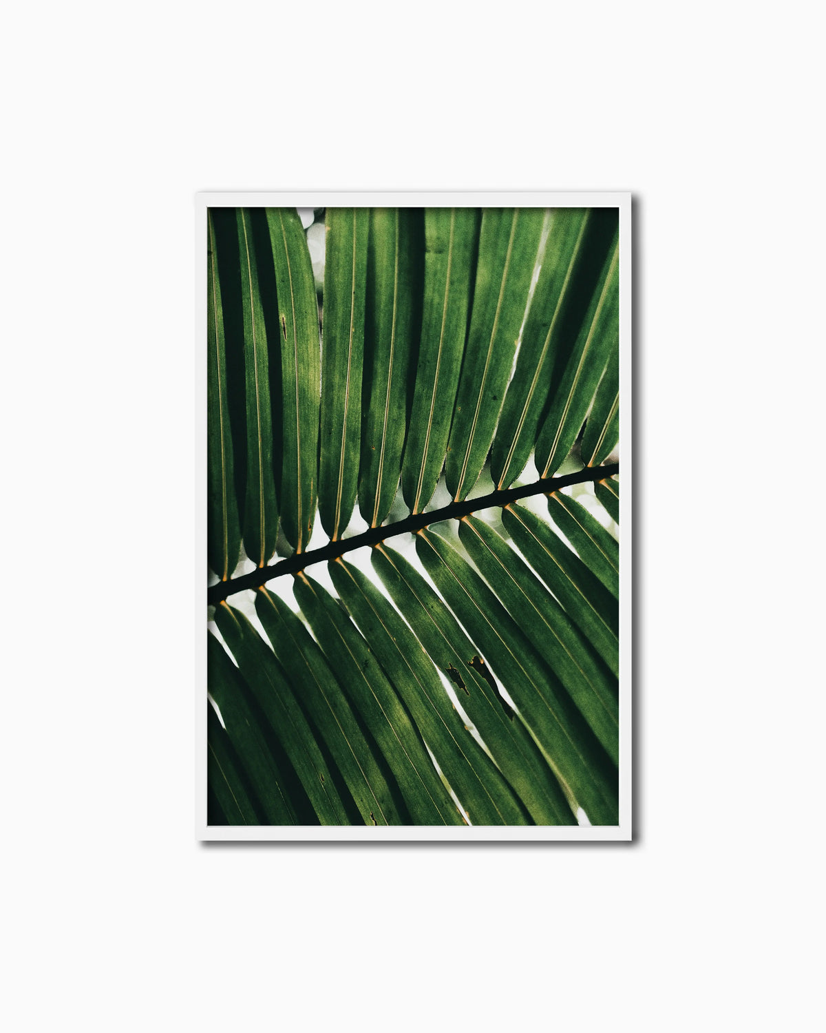 150x100cm , White , Full