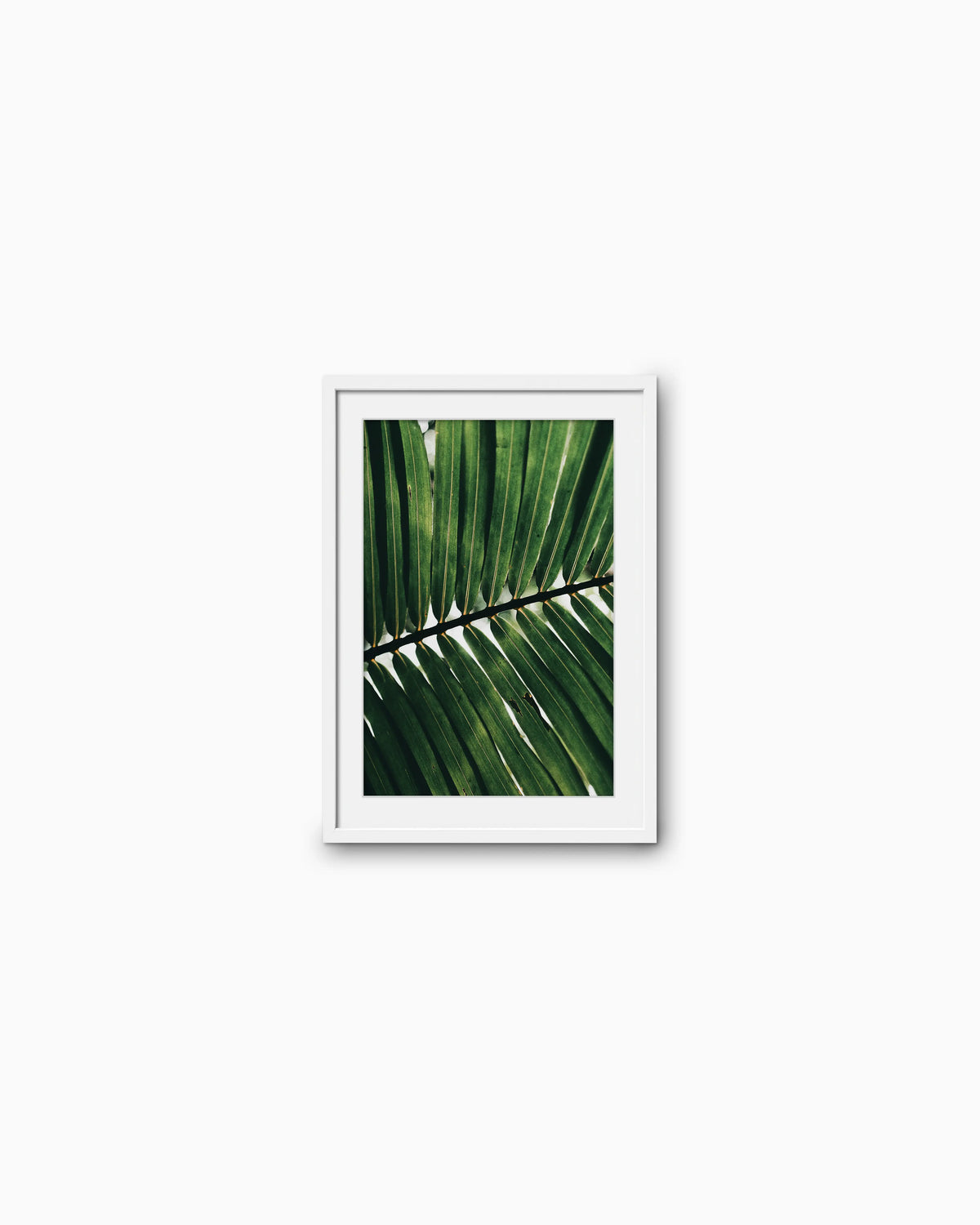 45x30cm , White , With mount
