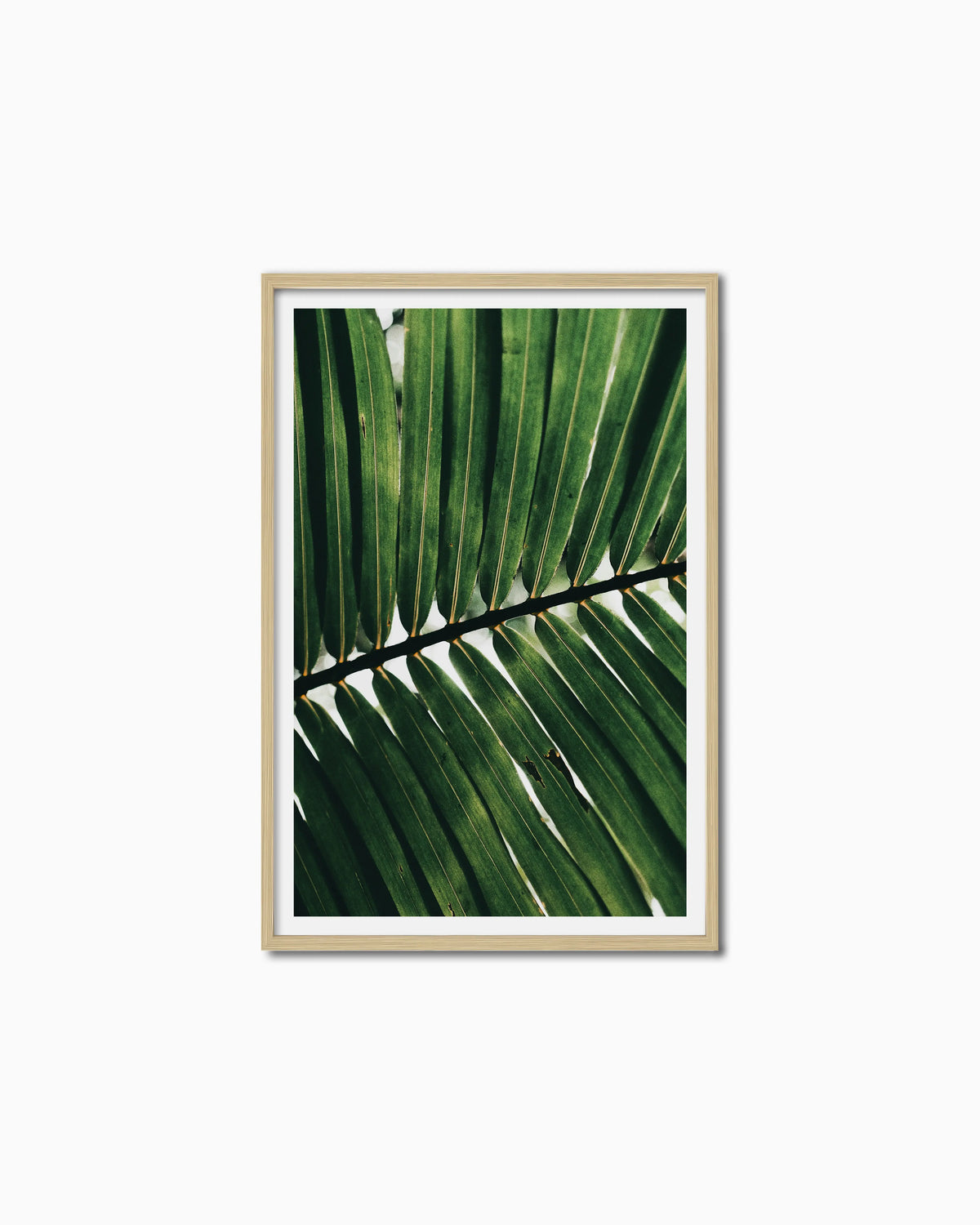 120x80cm , Wood , With mount