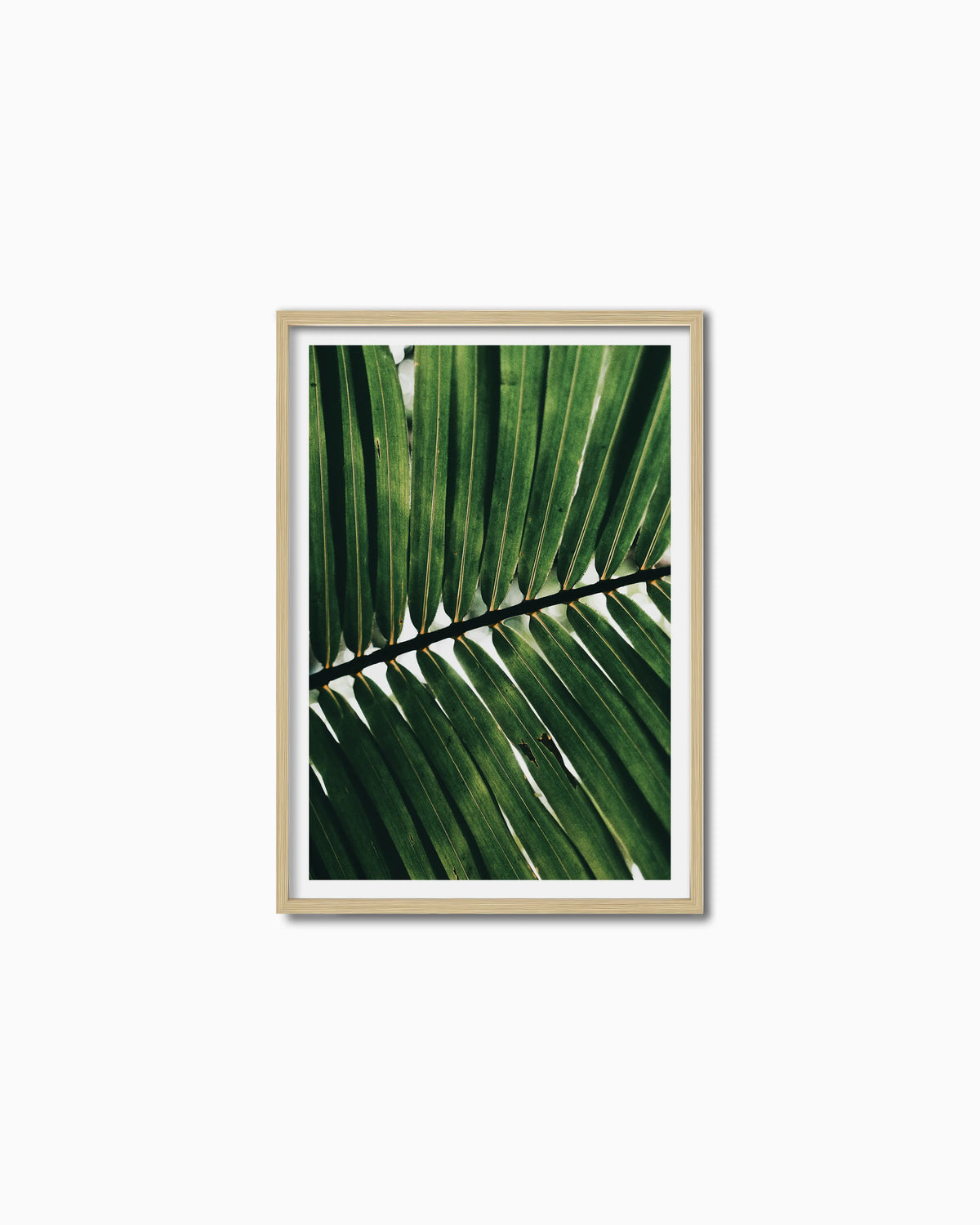 100x70cm , Wood , With mount