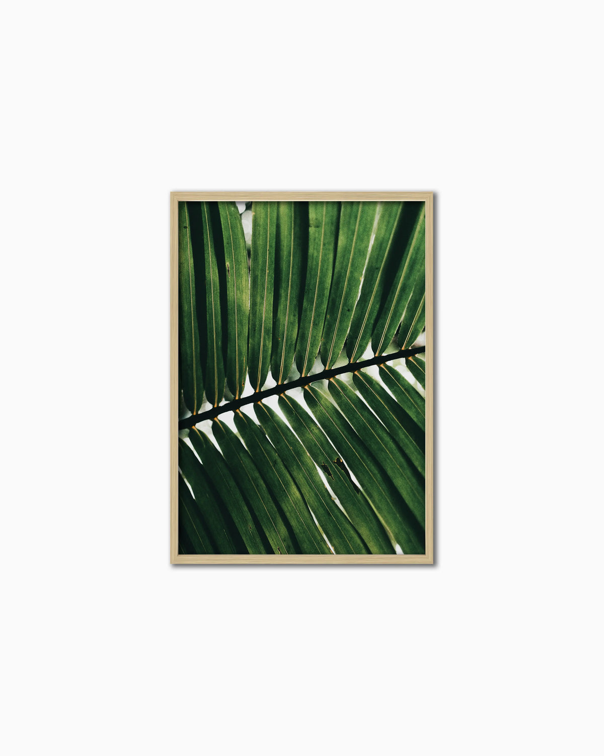 100x70cm , Wood , Full