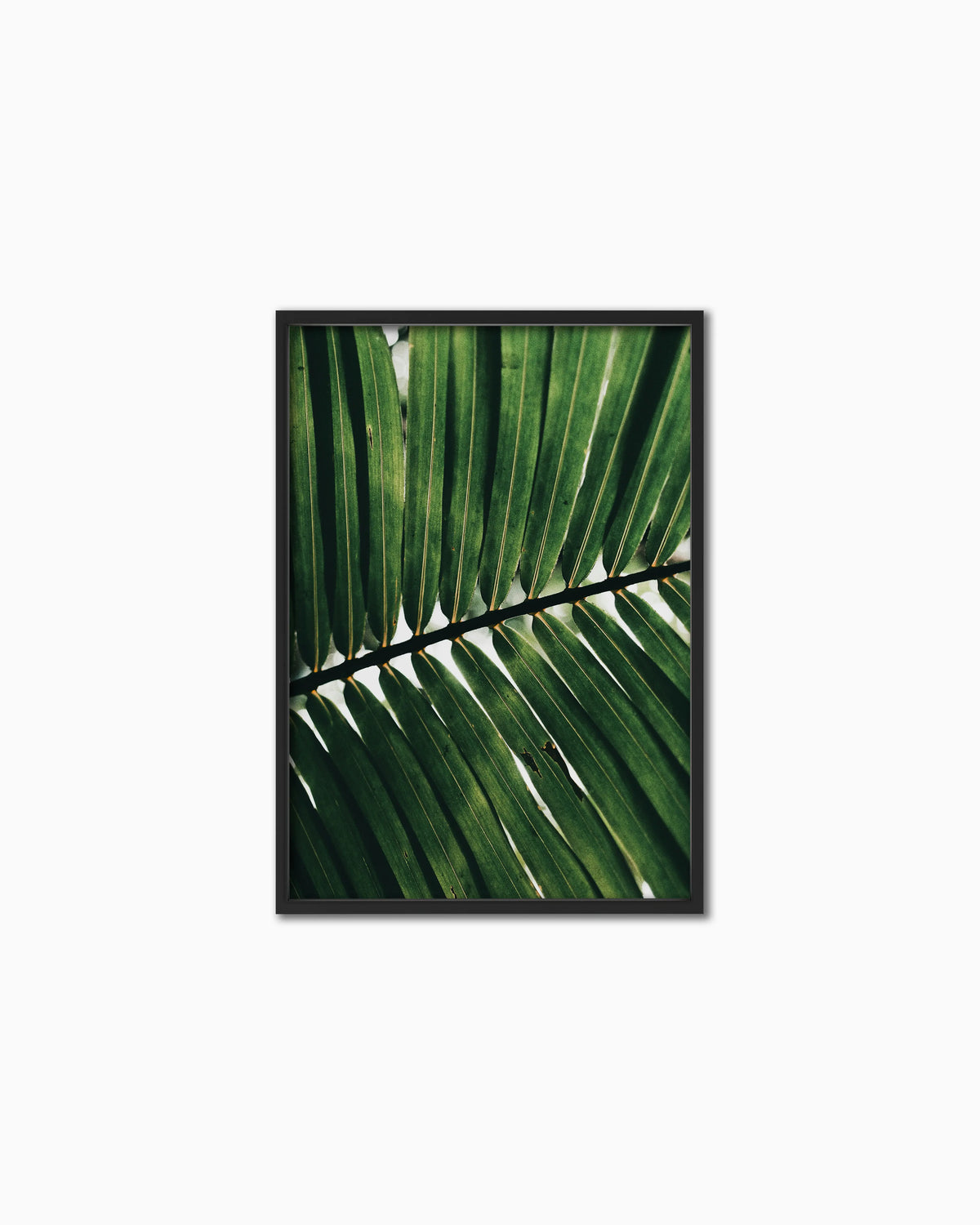 100x70cm , Black , Full
