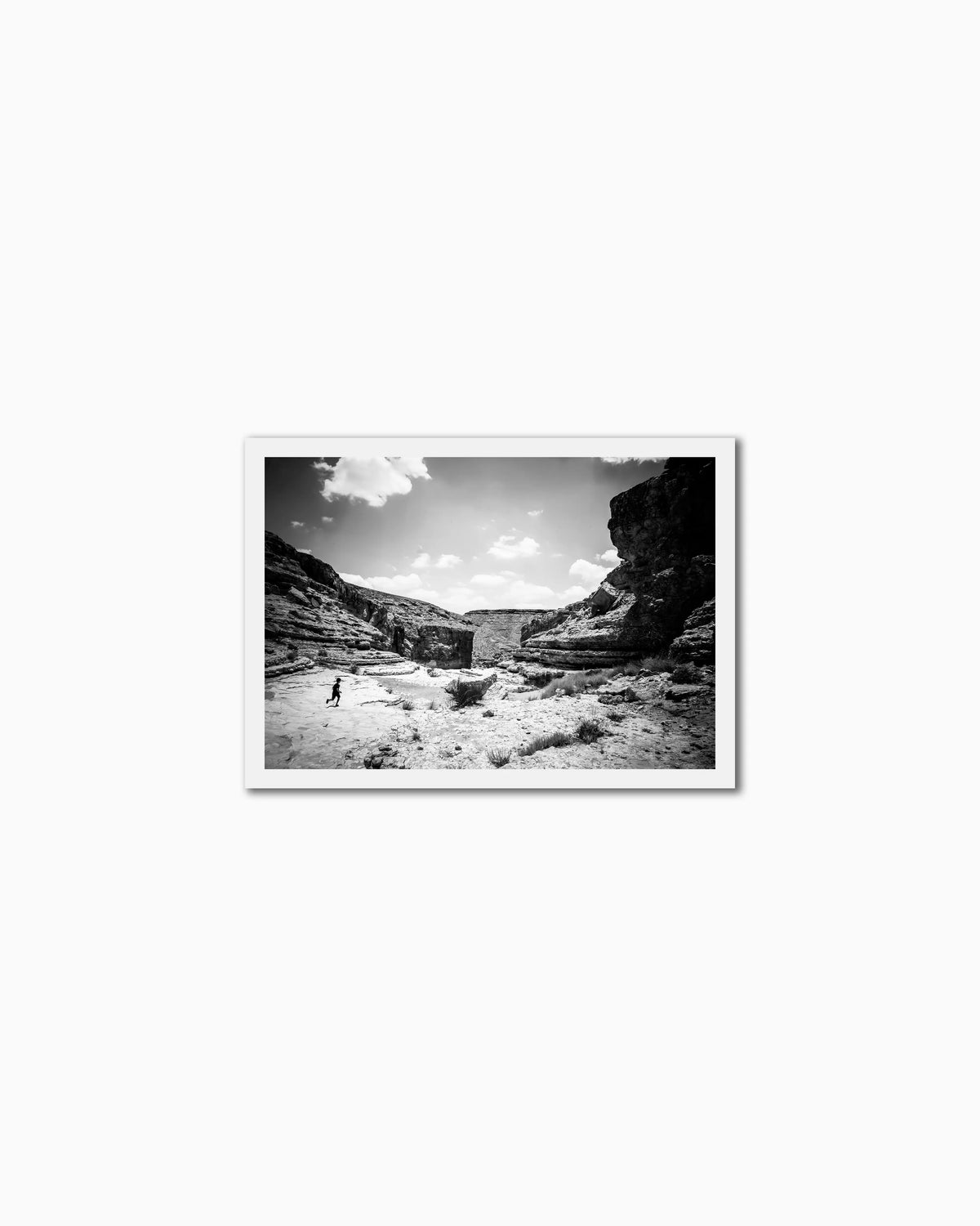 50x70cm , No frame , With mount