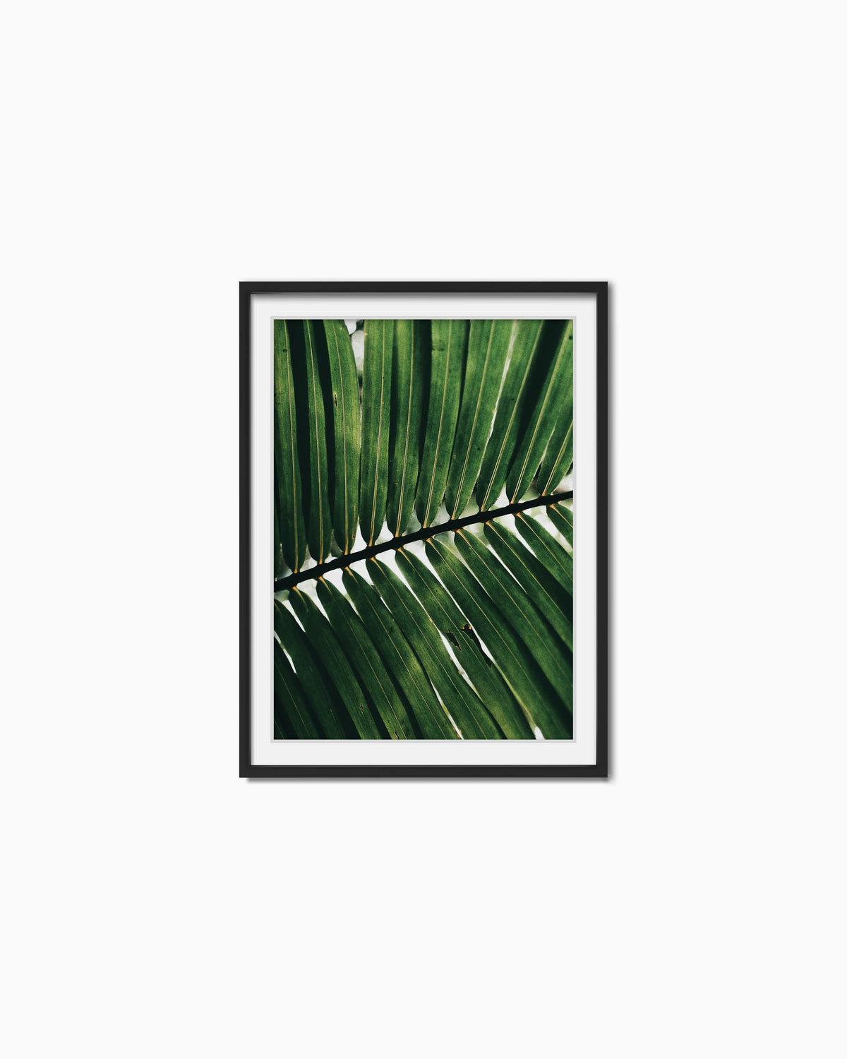 70x50cm , Black , With mount