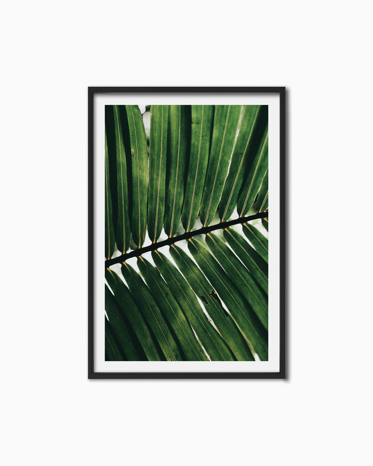 150x100cm , Black , With mount