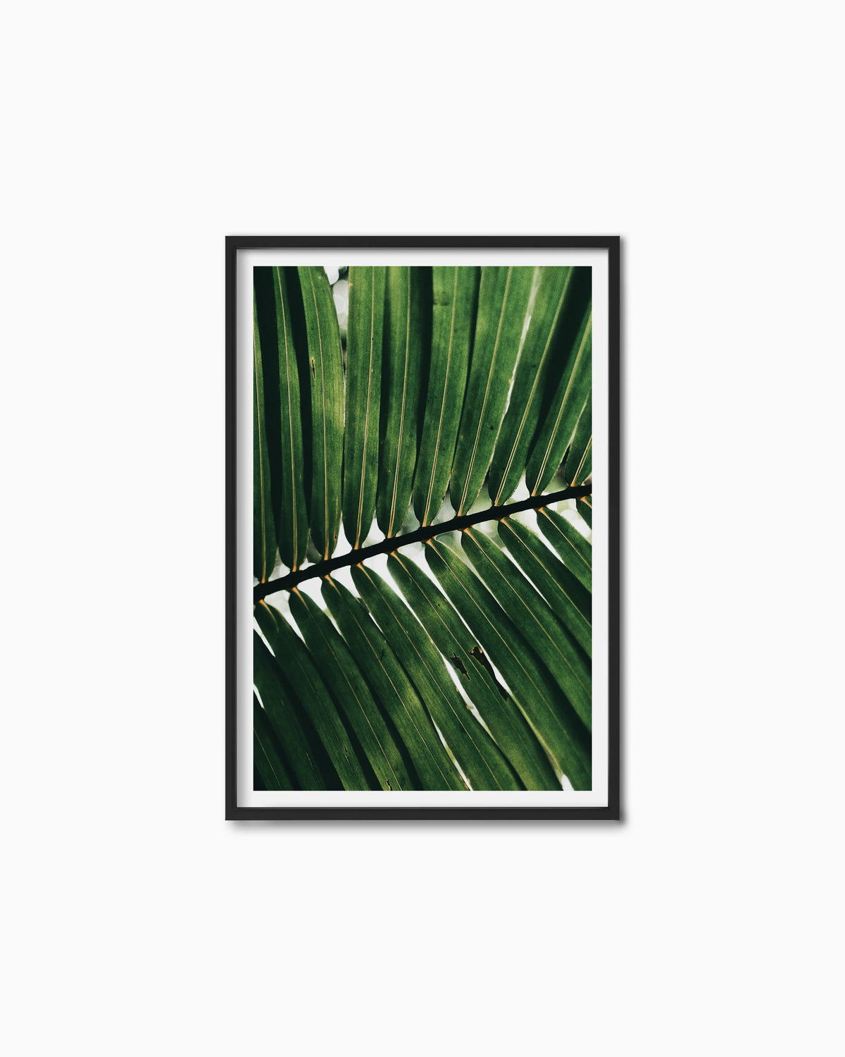 120x80cm , Black , With mount