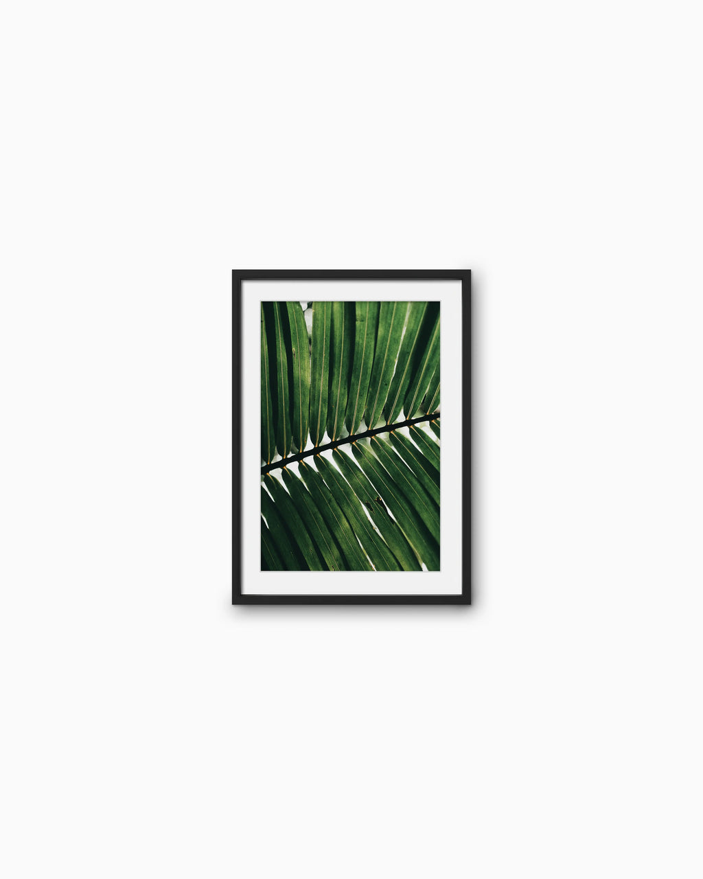 45x30cm , Black , With mount