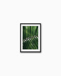 45x30cm , Black , With mount