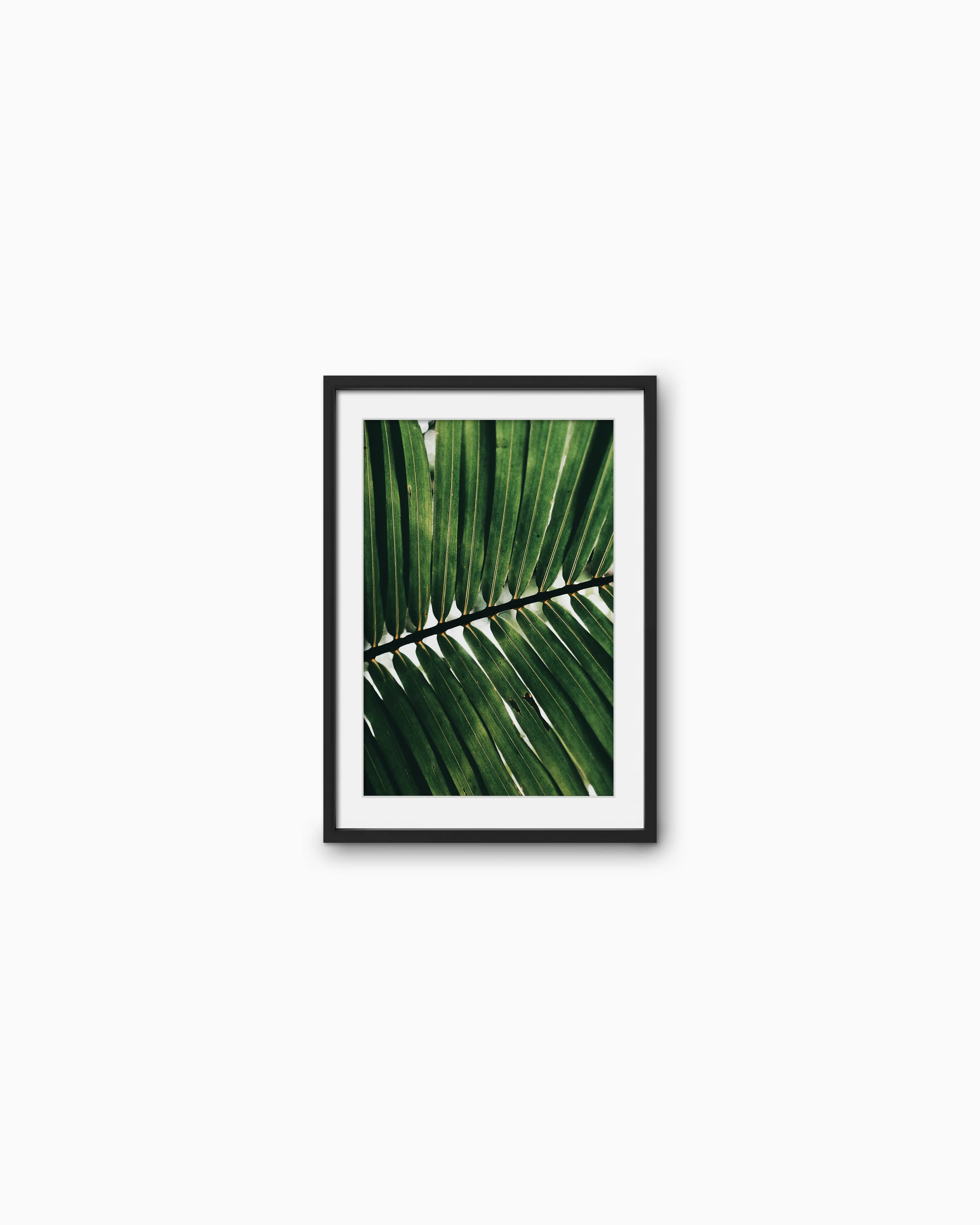 45x30cm , Black , With mount
