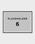 Product placeholder No. 6