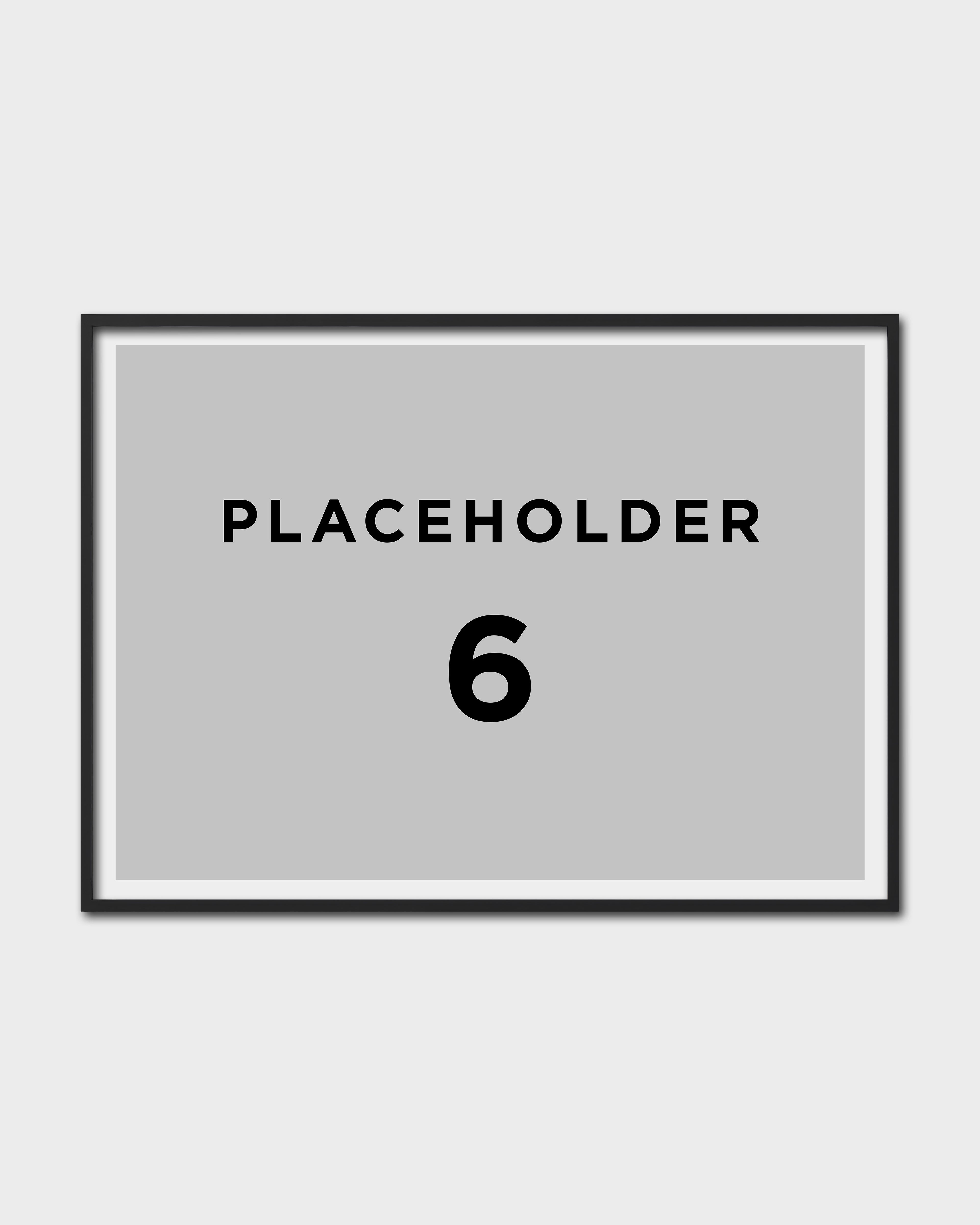 Product placeholder No. 6