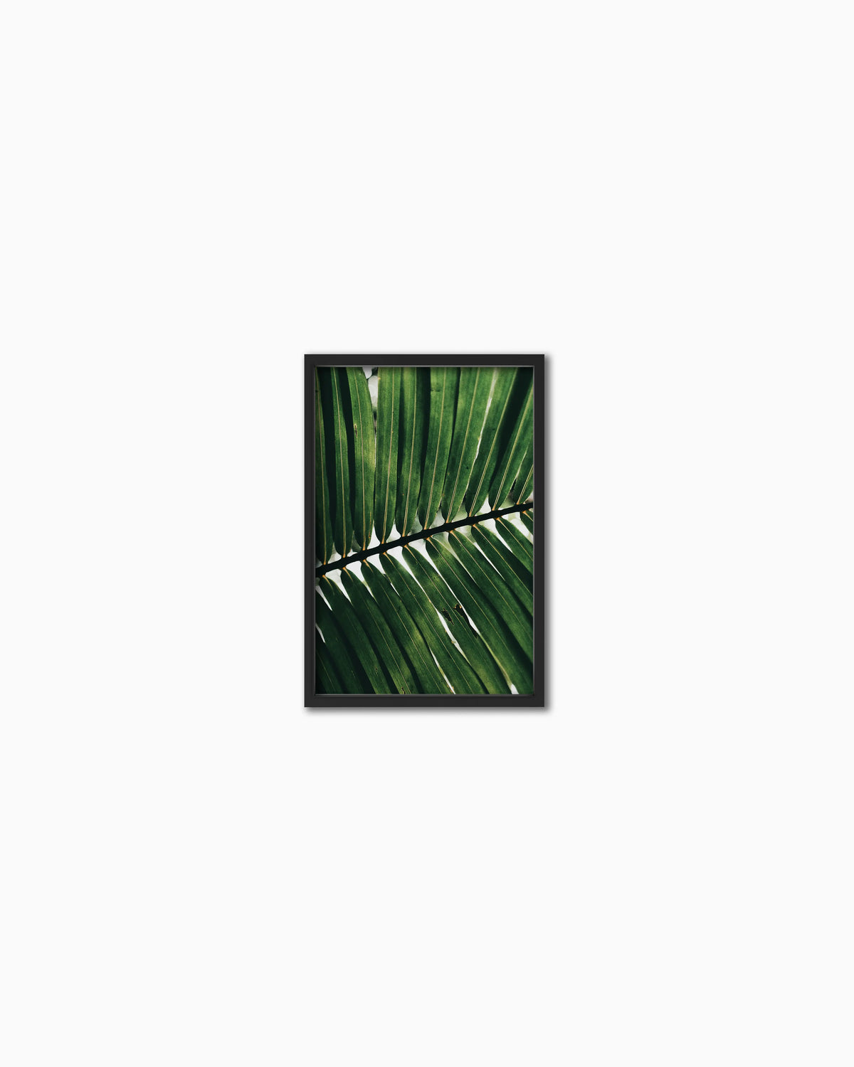 45x30cm , Black , Full
